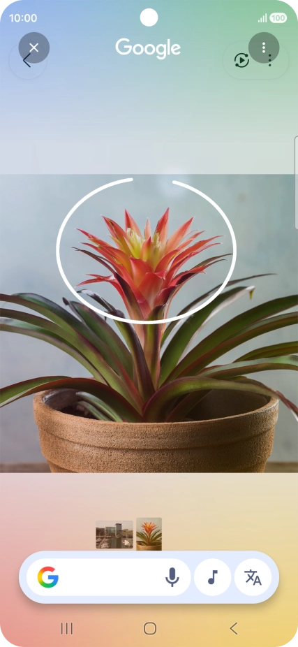 Rodea con un círculo el elemento deseado de la fotografía y espera a que aparezcan los resultados de búsqueda.