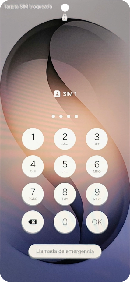 Si es necesario desbloquear la tarjeta SIM, introduce el código PIN y pulsa OK.