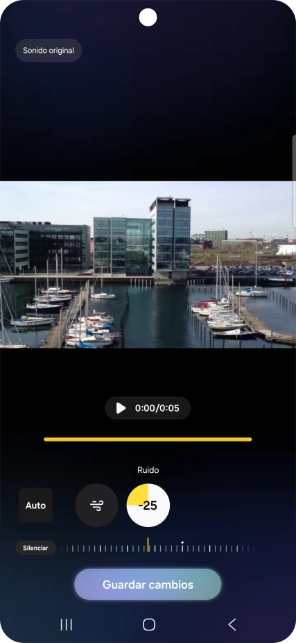 Pulsa Silenciar para eliminar totalmente el tipo de sonido del vídeo.