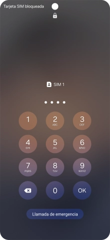 Si es necesario desbloquear la tarjeta SIM, introduce el código PIN y pulsa OK.