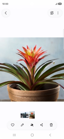 Desplázate a la fotografía deseada.