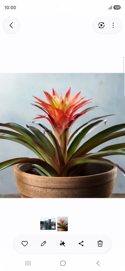 Desplázate a la fotografía deseada.