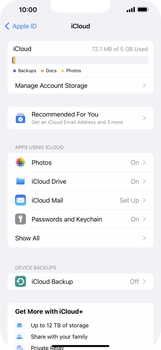 Press iCloud Backup.