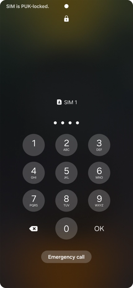 Key in the new PIN again and press OK.