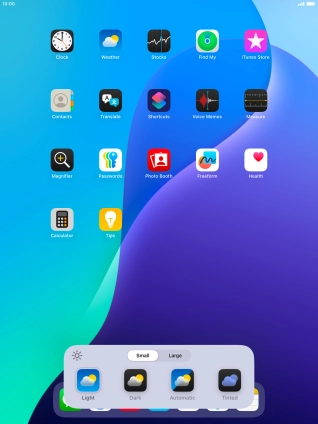 Press the required setting to select the size of app icons on the home screen.