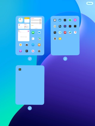 Press the field below the required home screen pages to select or deselect them.