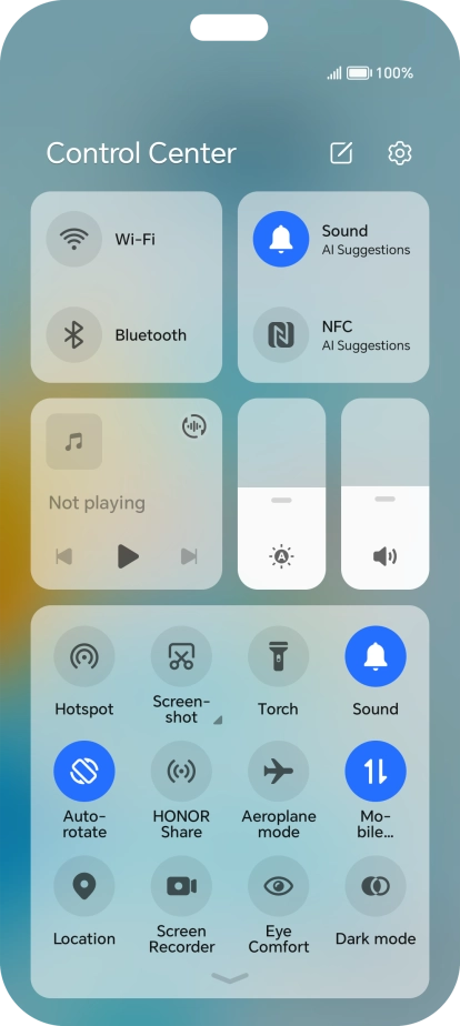 Press the mobile data icon to turn the function on or off.