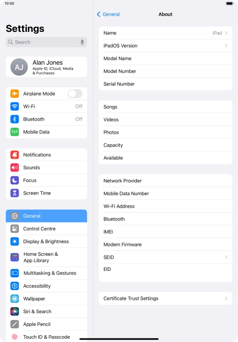 Your tablet's software version is displayed next to iPadOS Version.