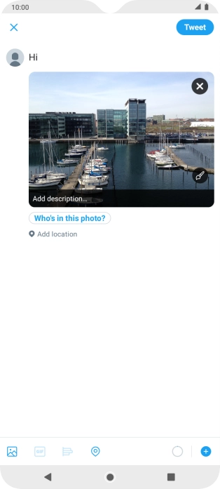 Write the required text and press Tweet.