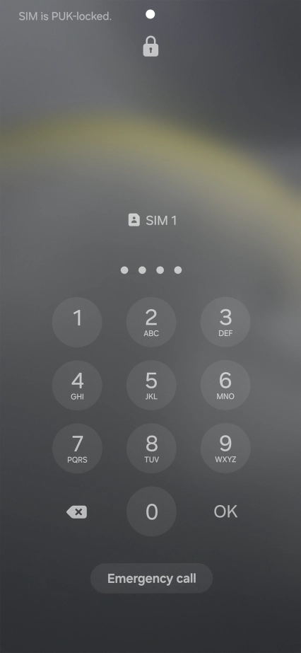 Key in the new PIN again and press OK.