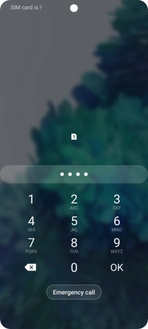 Key in a new four-digit PIN and press OK.