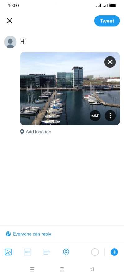Write the required text and press Tweet.