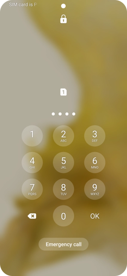 Key in a new four-digit PIN and press OK.