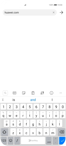 Key in the address of the required web page and press the confirm icon.