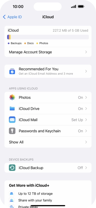 Press iCloud Backup.