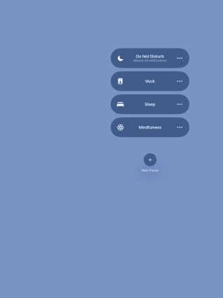 Press the required focus mode to activate or deactivate it immediately.
