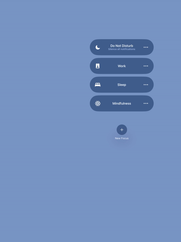 Press the required focus mode to activate or deactivate it immediately.