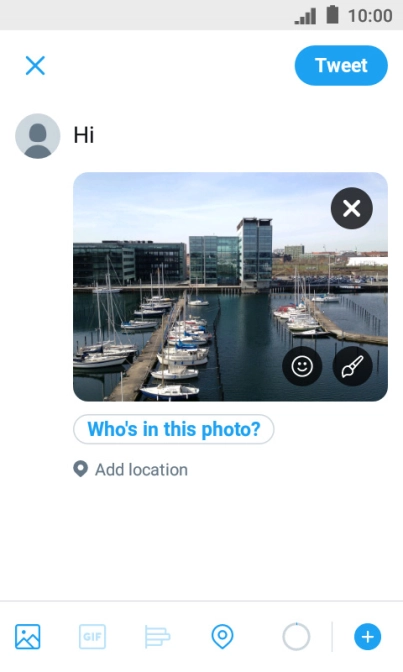 Write the required text and press Tweet.