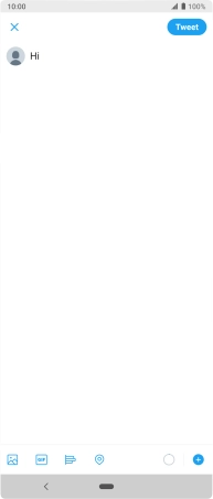 Write the required text and press Tweet.