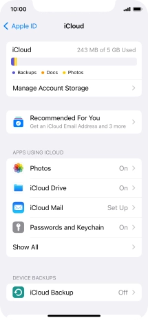 Press iCloud Backup.