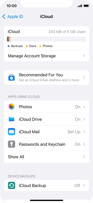 Press iCloud Backup.