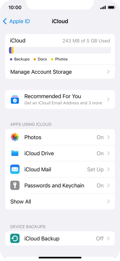 Press iCloud Backup.