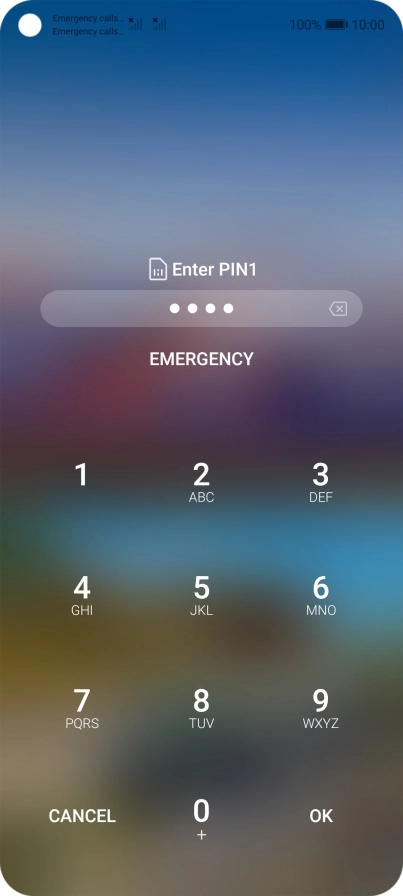 Key in a new four-digit PIN and press OK.