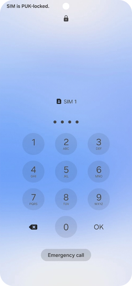 Key in a new four-digit PIN and press OK.