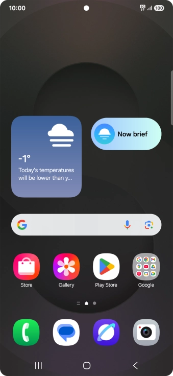 The network mode icon shows the network mode currently used by your phone.
