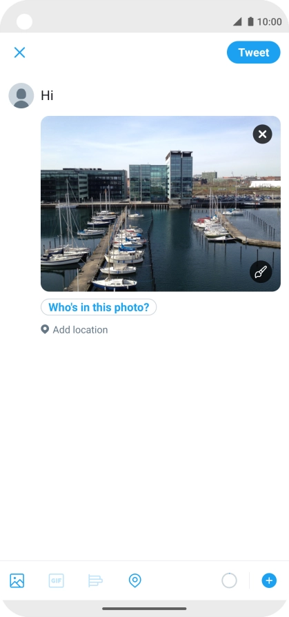 Write the required text and press Tweet.