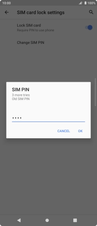 Key in your current PIN and press OK.