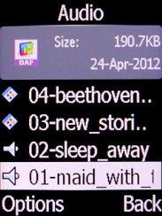 Go to the required folder and select the required audio file.