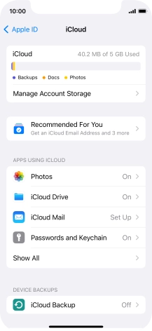 Press iCloud Backup.