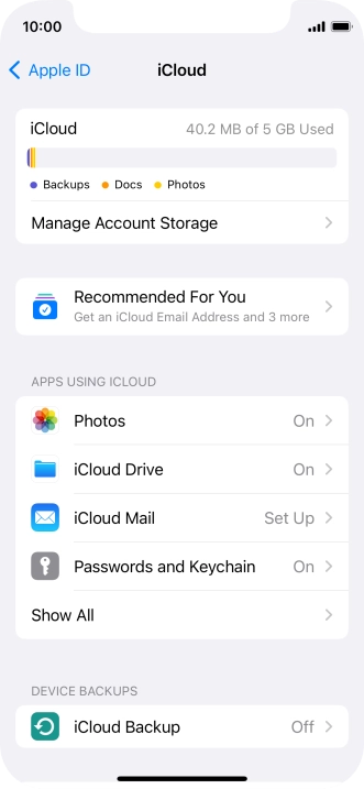 Press iCloud Backup.