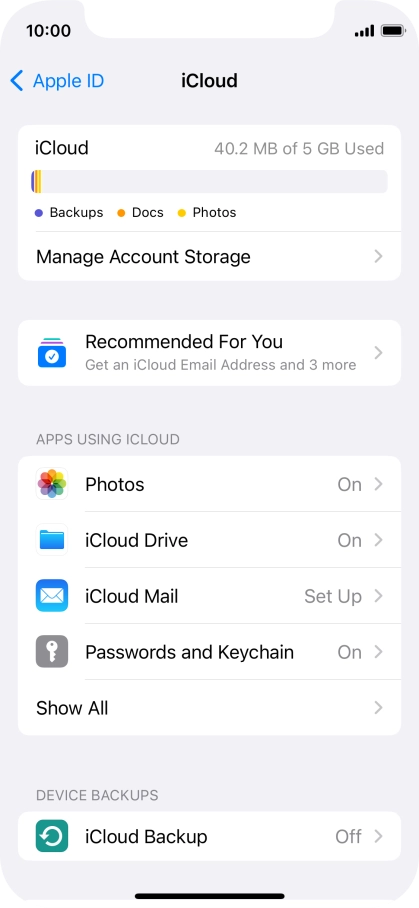 Press iCloud Backup.