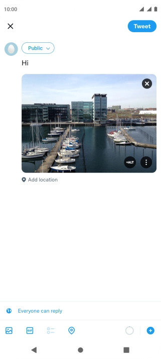 Write the required text and press Tweet.
