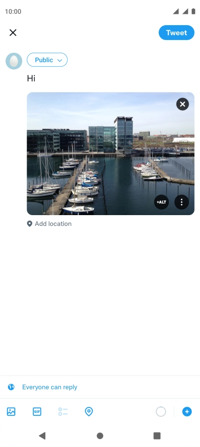 Write the required text and press Tweet.