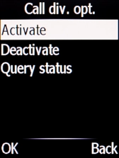 Select Activate.