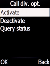 Select Activate.