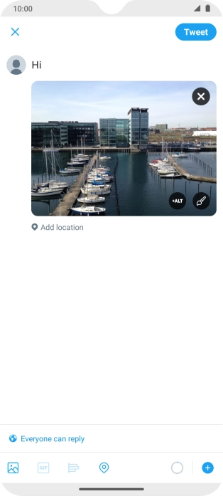 Write the required text and press Tweet.