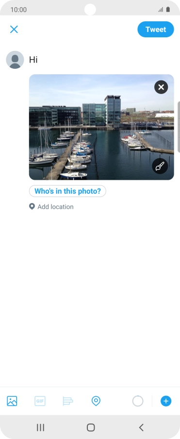Write the required text and press Tweet.