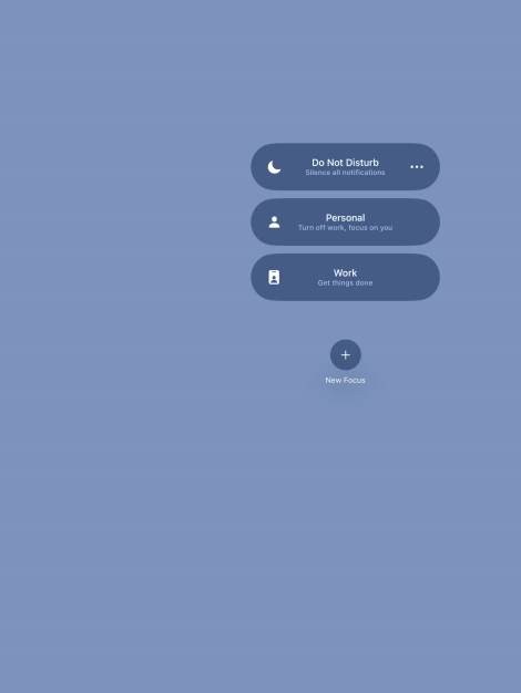 Press the required focus mode to activate or deactivate it immediately.