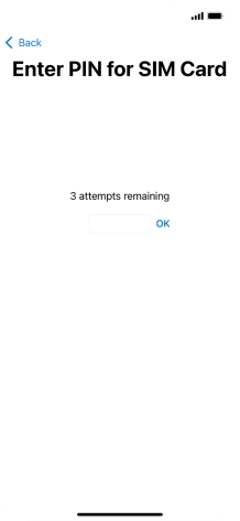 If your SIM is locked, key in your PIN and press OK.