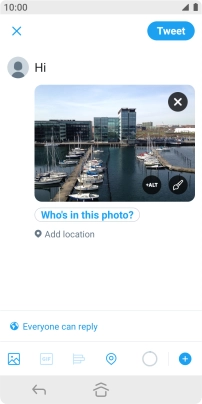 Write the required text and press Tweet.