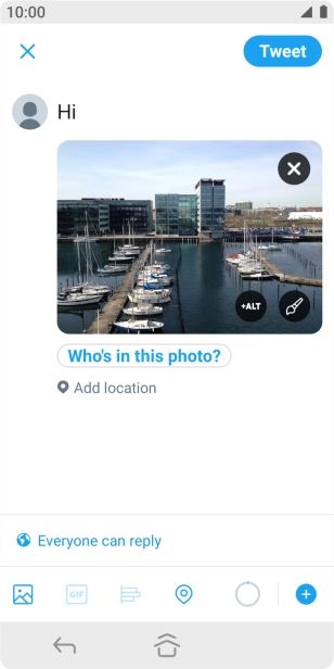 Write the required text and press Tweet.
