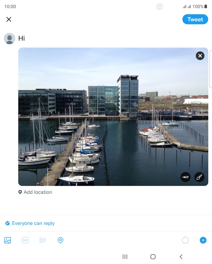 Write the required text and press Tweet.