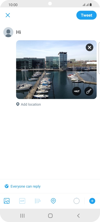 Write the required text and press Tweet.