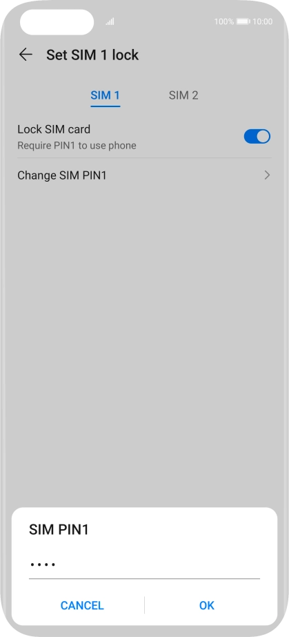Key in your current PIN and press OK.