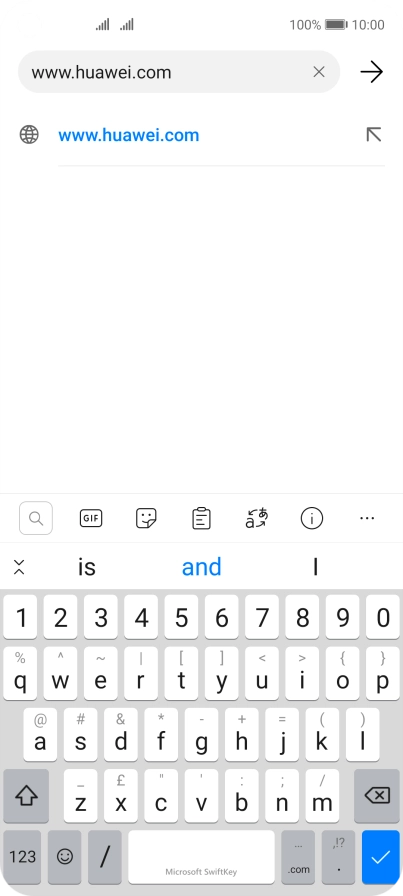 Key in the address of the required web page and press the confirm icon.