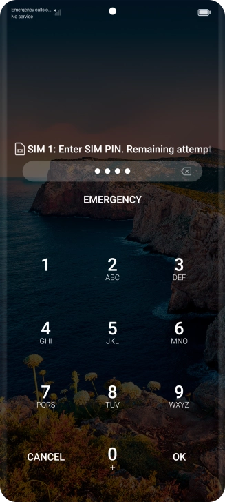 If you're asked to key in your PIN, do so and press OK.